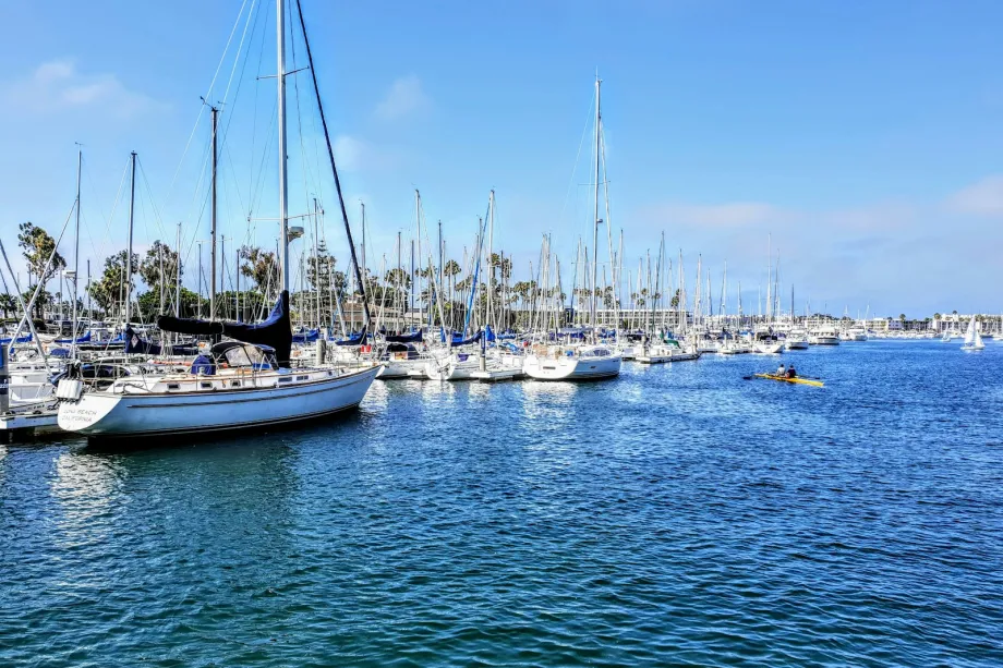 Rows of white cruising yachts berthed in a marina under a blue sky