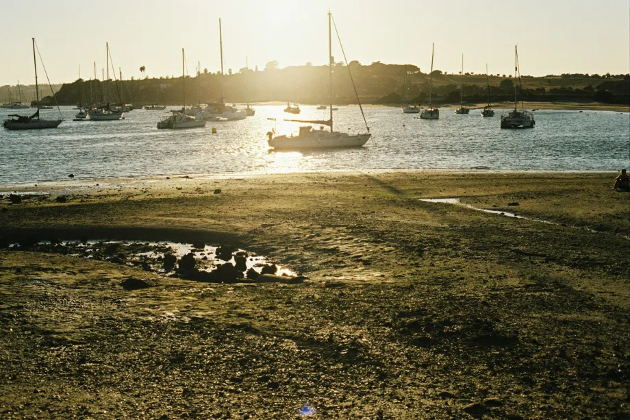 Sailing yachts at anchor on a calm estuary in low golden evening light